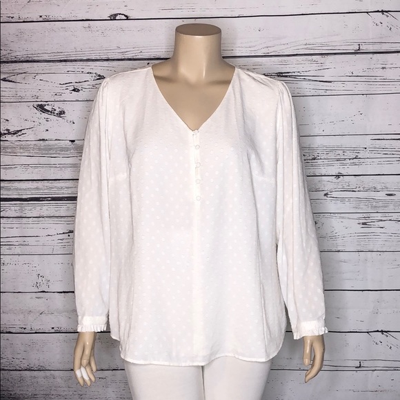 ann taylor plus size blouses